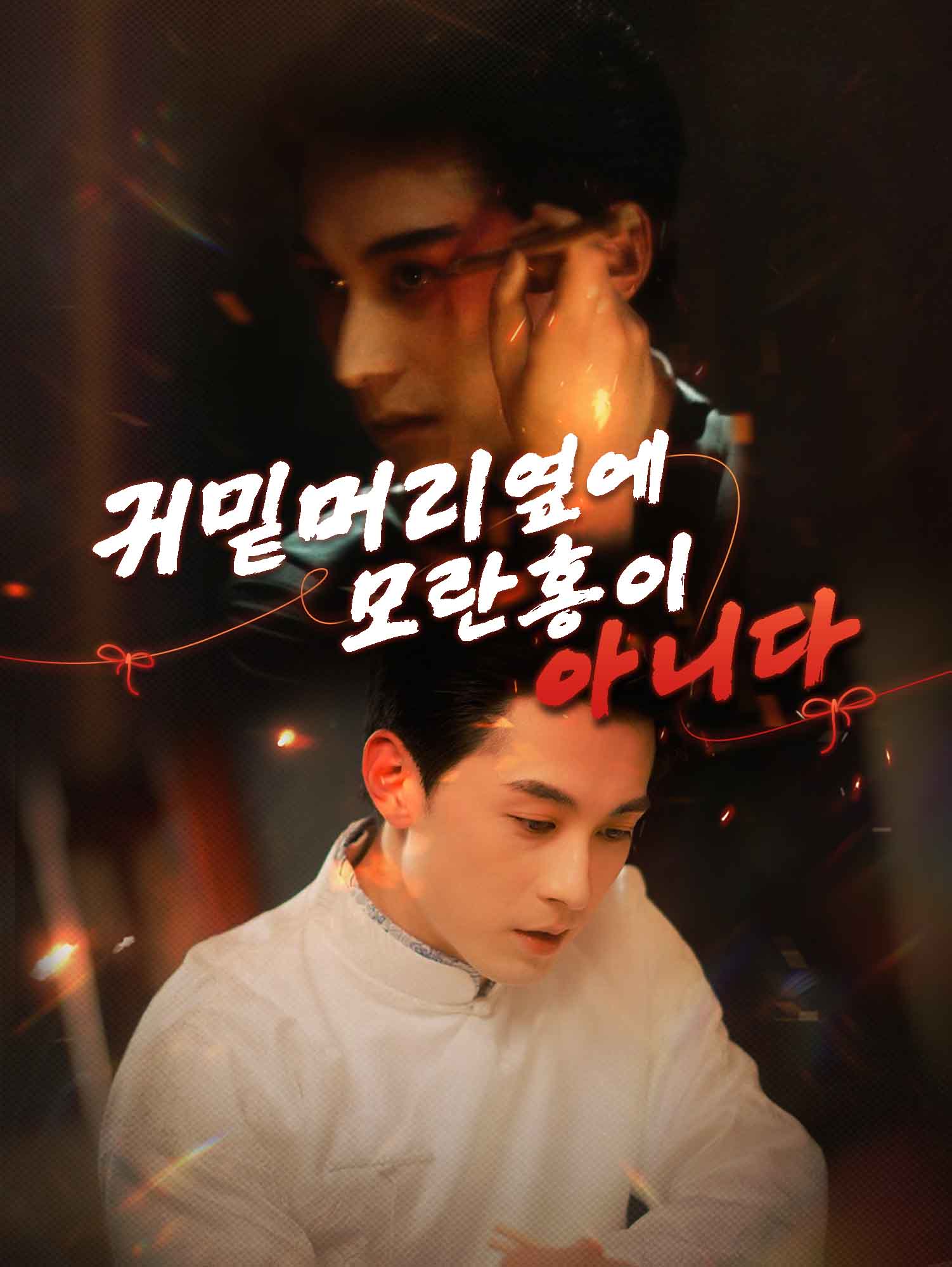 귀밑머리 옆에 모란홍이 아니다