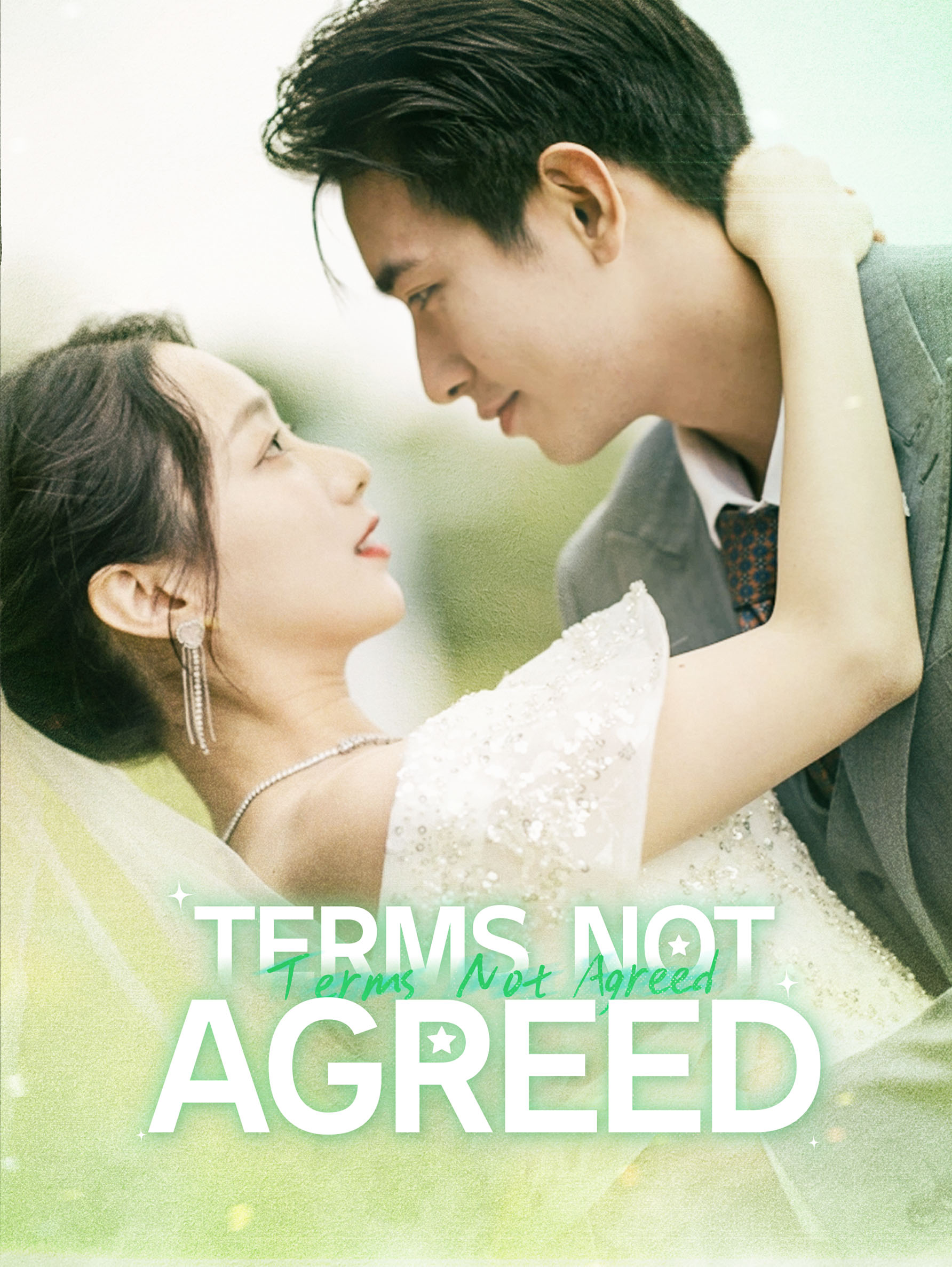Terms Not Agreed
